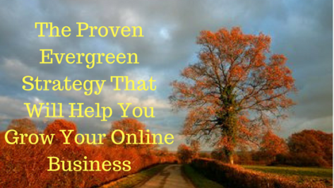 The Proven Evergreen Strategy That Will Help You Grow Your Online Business.png